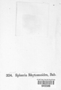 Image Associated With the Occurrence